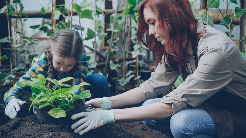 Eco Schools And Environmental Education