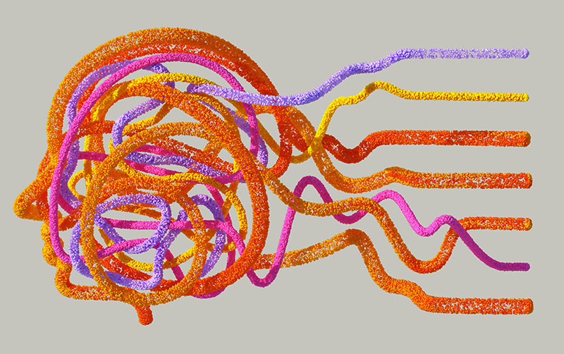 Neuroeducation And Brain Based Teaching