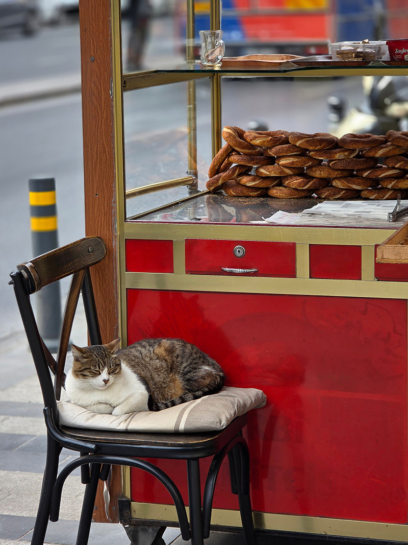 Location Istanbul Detail